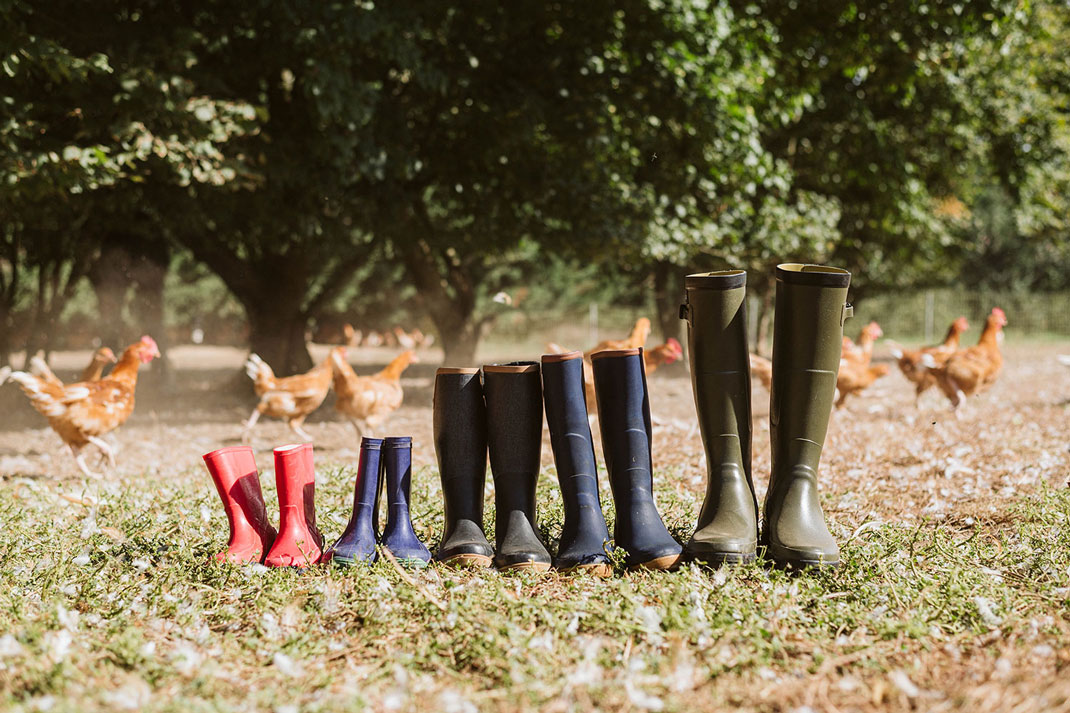 Bottes au milieu des volailles
